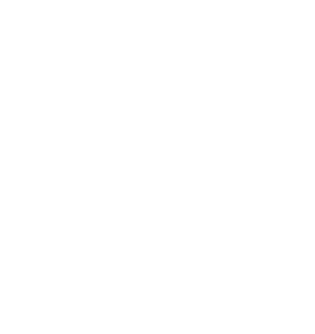 Wonder Industries